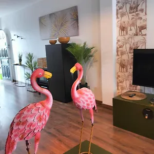 https://marezia.hotelsfuerteventura.org